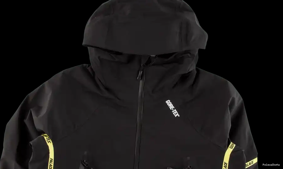 Cheap Palace Gore-Tex Jacket Palex 0215