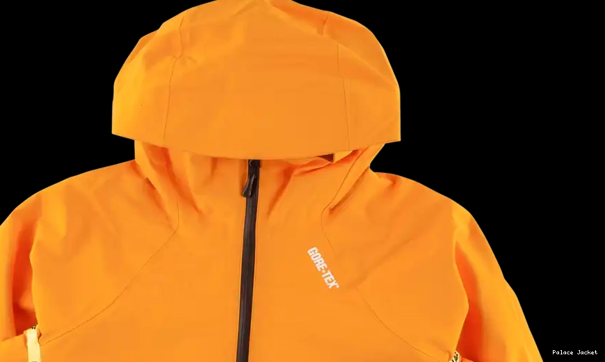 Cheap Palace Palex Gore-Tex Jacket 0219