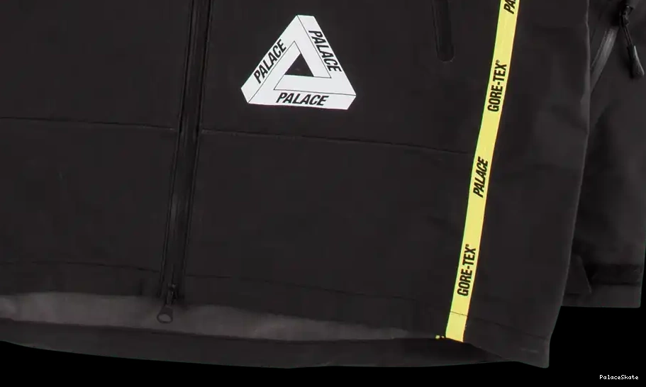 Cheap Palace Gore-Tex Jacket Palex 0215