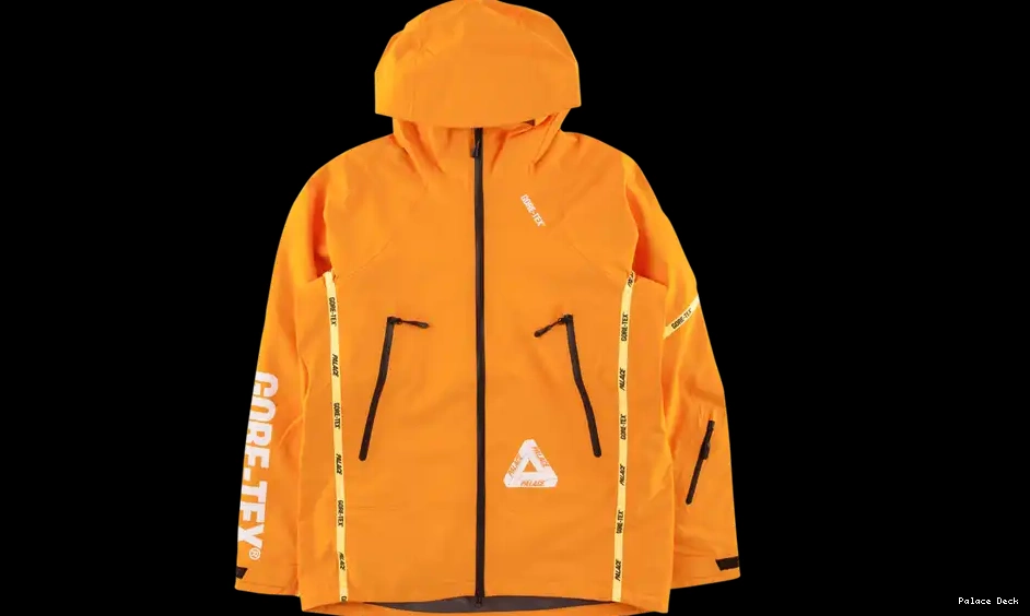 Cheap Palace Jacket Gore-Tex Palex 0227