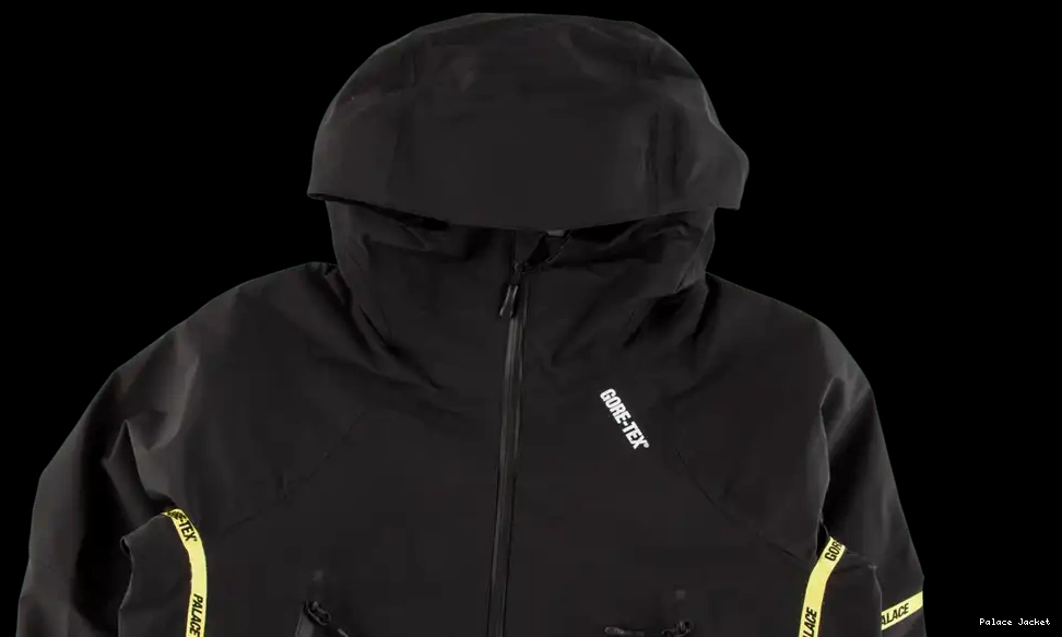 Affordable Palace Palex Gore-Tex Jacket 0219