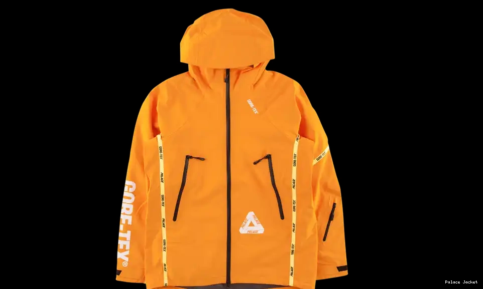 Cheap Palace Palex Gore-Tex Jacket 0219