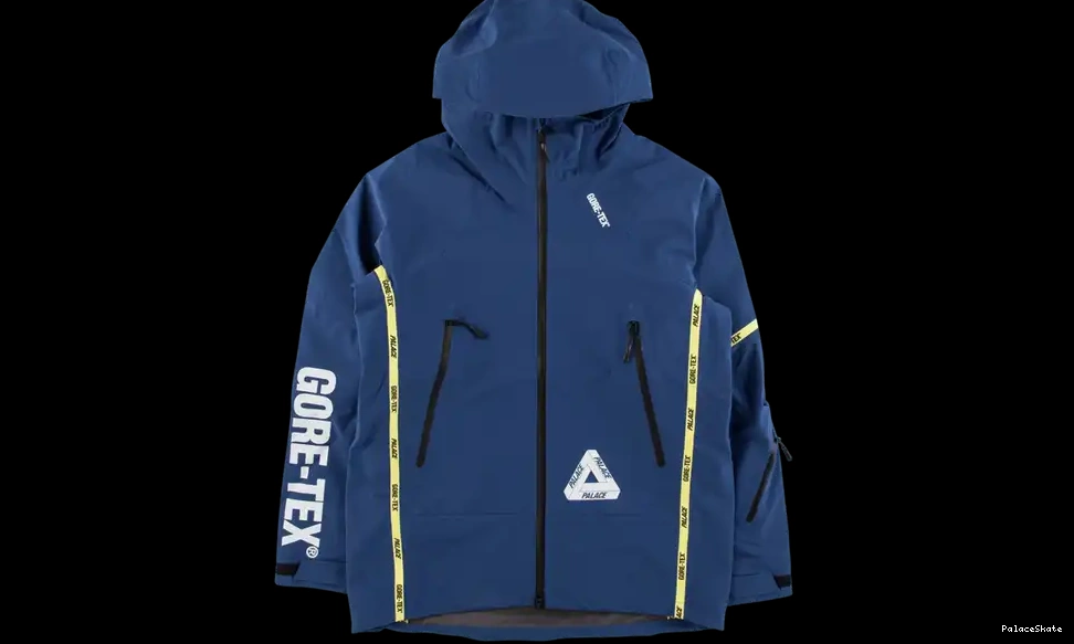 Affordable Palace Palex Gore-Tex Jacket 0222