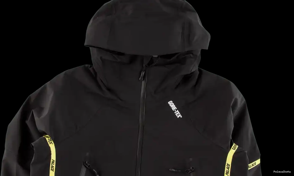 Cheap Palace Palex Gore-Tex Jacket 0212