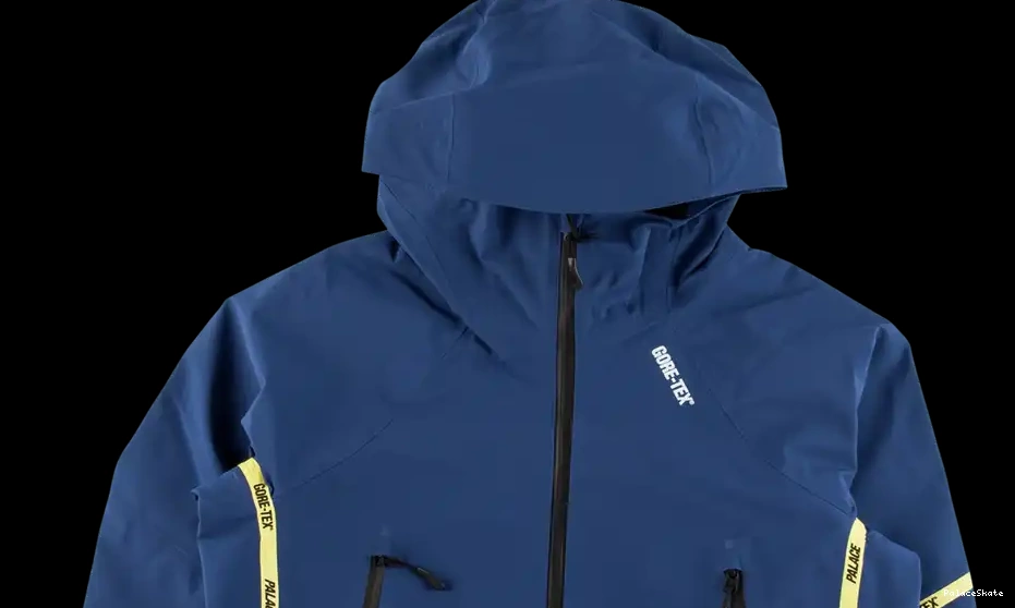 Affordable Palace Palex Gore-Tex Jacket 0224